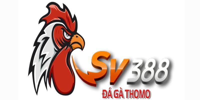 Đá gà SV388: Hướng dẫn chơi hiệu quả, chọn gà và chiến thuật 5 Đá gà SV388: Hướng dẫn chơi hiệu quả, chọn gà và chiến thuật